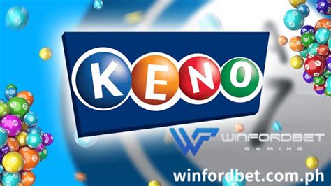 winfordbet 777|BINGO .